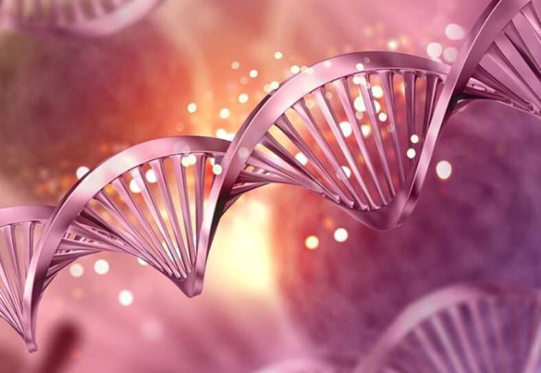 Screening neonatale, l’Assemblea Nazionale francese approva l’uso dei test genetici