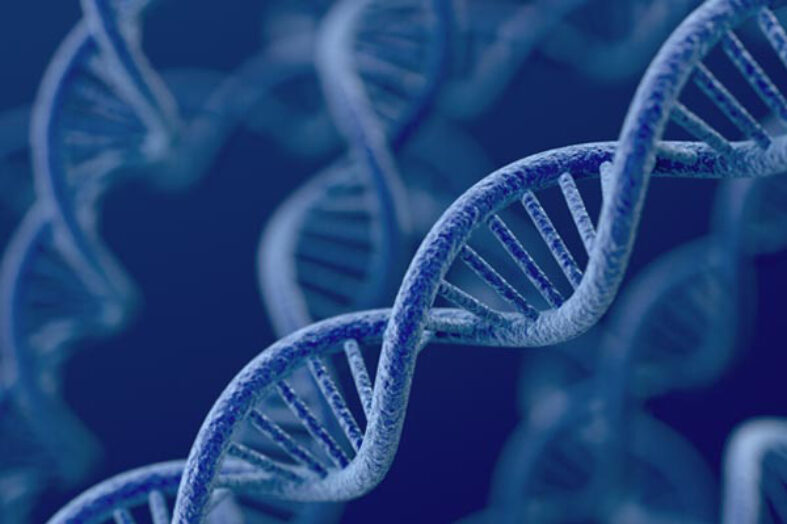 Malattie genetiche, da Telethon e Regione Lombardia un progetto per la diagnosi precoce