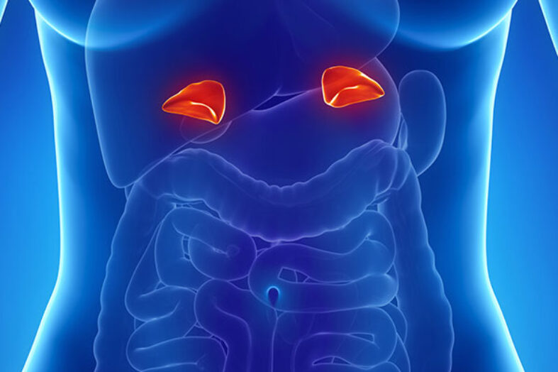 Iperplasia surrenalica congenita: uno studio approfondisce il miglior metodo di conferma diagnostica